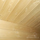 Drewniany domek z płaskim dachem Gloria A 4,9 m2